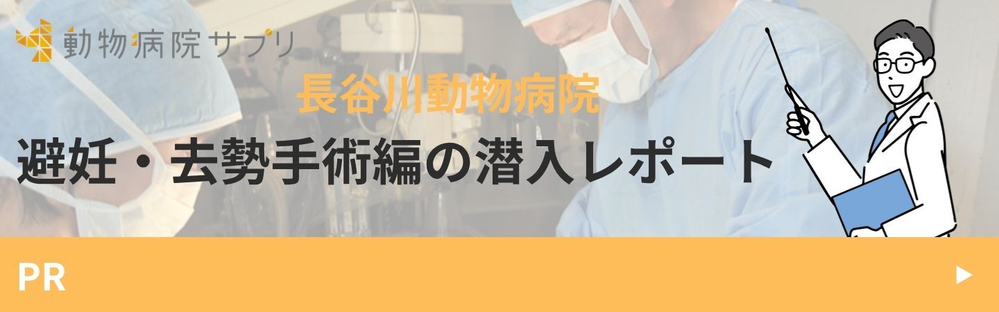 長谷川動物病院様 避妊・去勢手術レポート